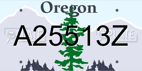 A25513Z Oregon License Plate