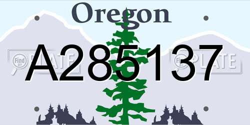 A285137 Oregon License Plate