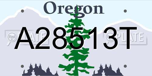 A28513T Oregon License Plate