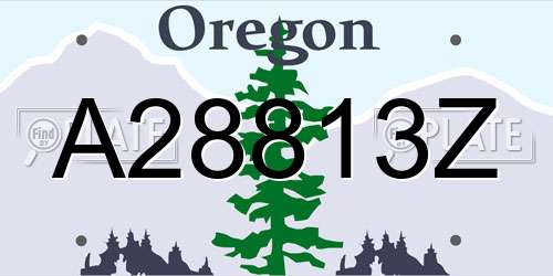 A28813Z Oregon License Plate