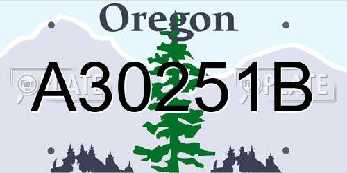 A30251B Oregon License Plate