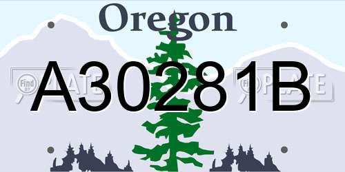 A30281B Oregon License Plate