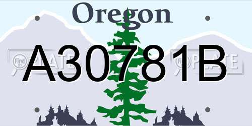 A30781B Oregon License Plate