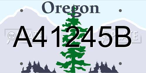 A41245B Oregon License Plate