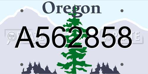 A562858 Oregon License Plate