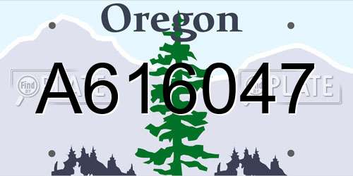A616047 Oregon License Plate