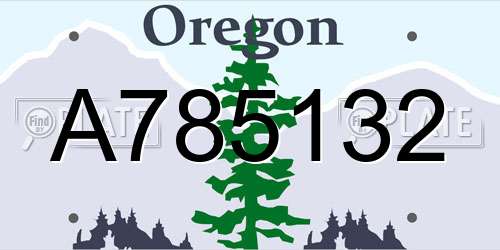 A785132 Oregon License Plate
