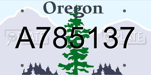 A785137 Oregon License Plate