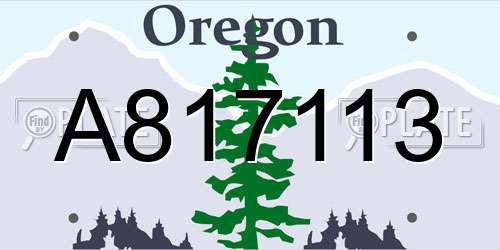 A817113 Oregon License Plate