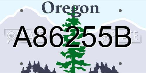 A86255B Oregon License Plate