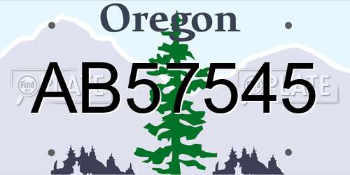 AB57545 Oregon License Plate
