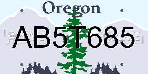 AB5T685 Oregon License Plate