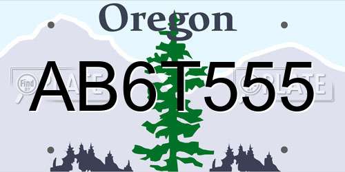AB6T555 Oregon License Plate