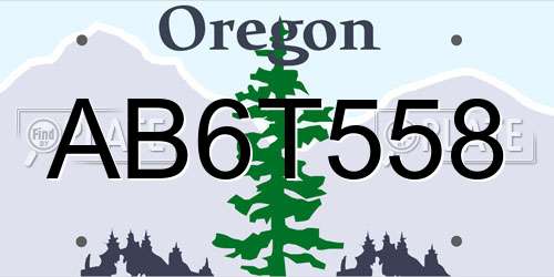 AB6T558 Oregon License Plate