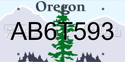 AB6T593 Oregon License Plate