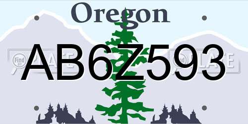 AB6Z593 Oregon License Plate