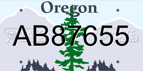 AB87655 Oregon License Plate