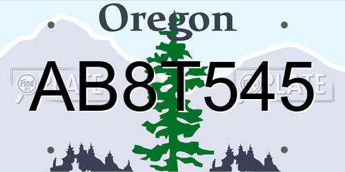 AB8T545 Oregon License Plate