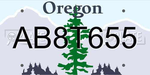 AB8T655 Oregon License Plate