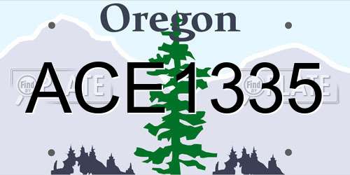 ACE1335 Oregon License Plate