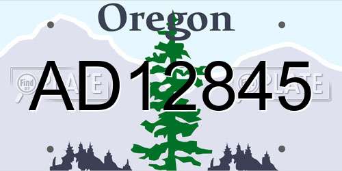 AD12845 Oregon License Plate