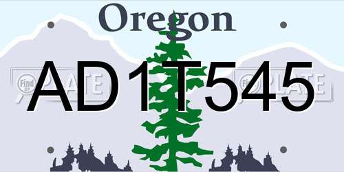 AD1T545 Oregon License Plate