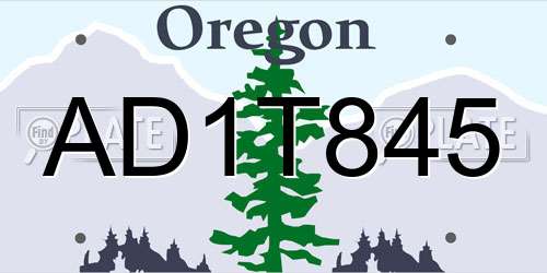 AD1T845 Oregon License Plate