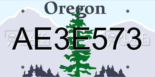 AE3E573 Oregon License Plate
