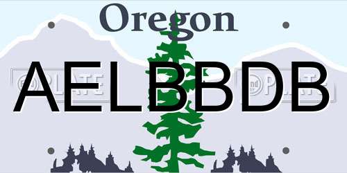 AELBBDB Oregon License Plate