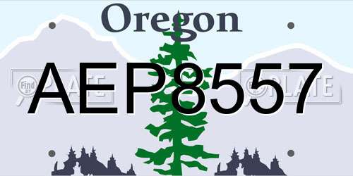 AEP8557 Oregon License Plate
