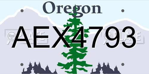 AEX4793 Oregon License Plate