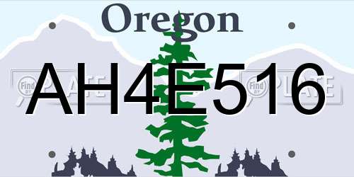 AH4E516 Oregon License Plate