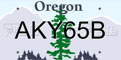 AKY65B Oregon License Plate
