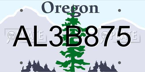 AL3B875 Oregon License Plate