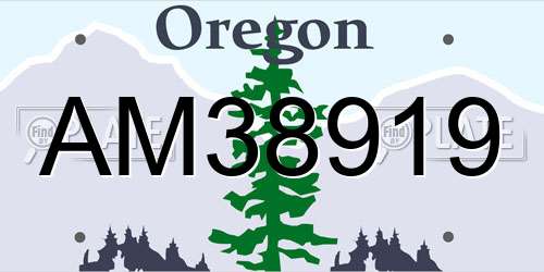 AM38919 Oregon License Plate