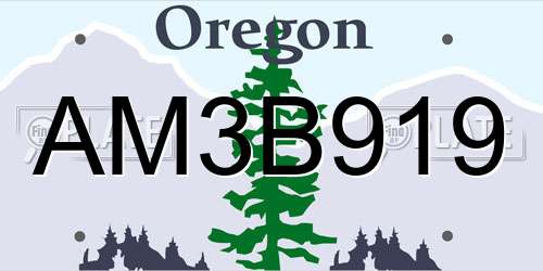 AM3B919 Oregon License Plate