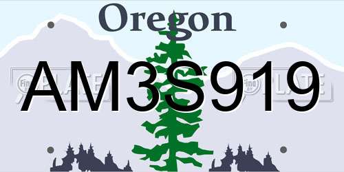 AM3S919 Oregon License Plate