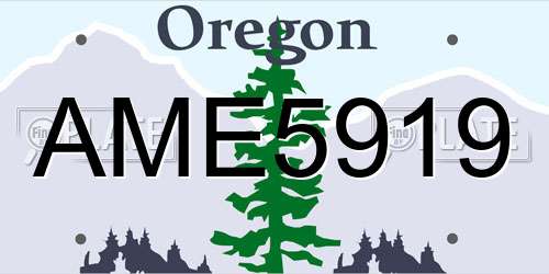 AME5919 Oregon License Plate