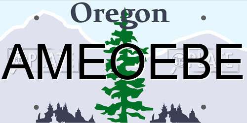 AMEOEBE Oregon License Plate