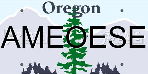 AMEOESE Oregon License Plate