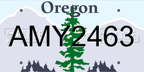 AMY2463 Oregon License Plate