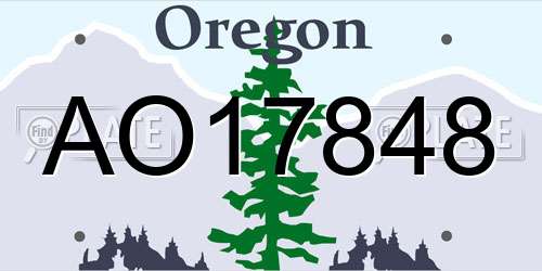 AO17848 Oregon License Plate
