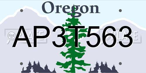 AP3T563 Oregon License Plate
