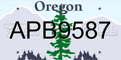 APB9587 Oregon License Plate