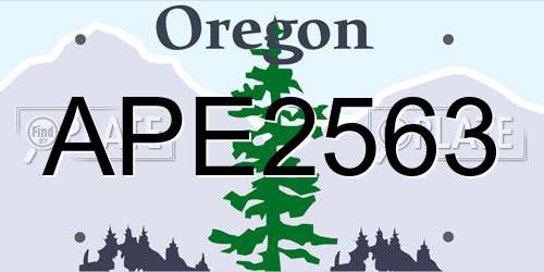 APE2563 Oregon License Plate