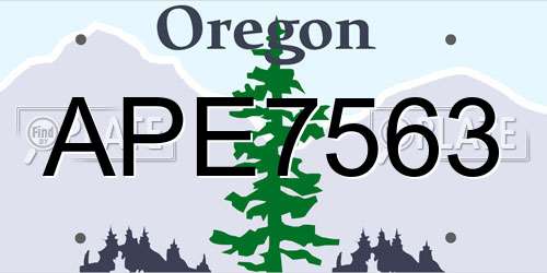 APE7563 Oregon License Plate