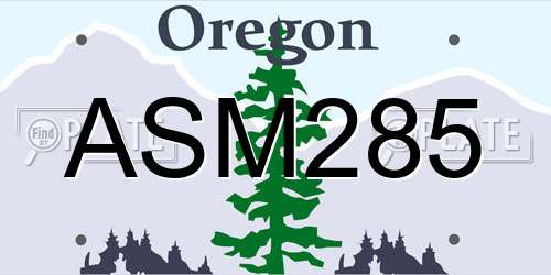 ASM285 Oregon License Plate