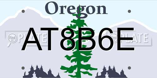AT8B6E Oregon License Plate