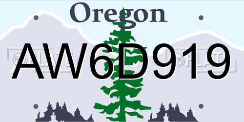 AW6D919 Oregon License Plate