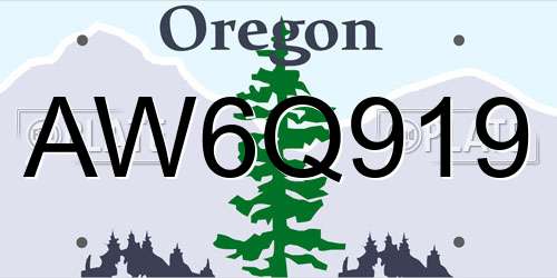 AW6Q919 Oregon License Plate